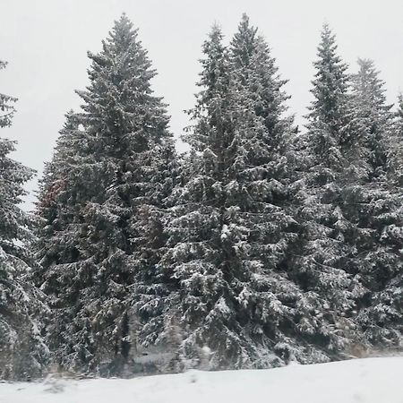 Apartmani Sorak Kopaonik, Studio Apartman A10 Εξωτερικό φωτογραφία